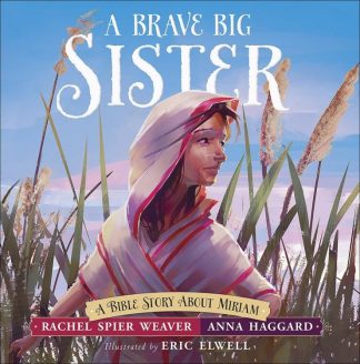 9780736970792 Brave Big Sister