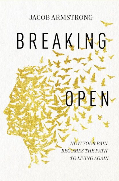 9780785258322 Breaking Open : How Your Pain Becomes The Path To Living Again