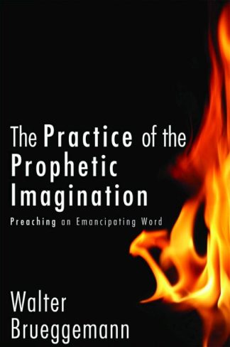 9780800698973 Practice Of Prophetic Imagination