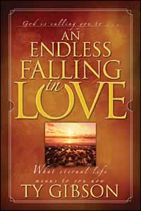 9780816319794 Endless Falling In Love