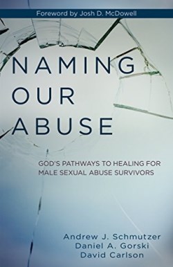 9780825444005 Naming Our Abuse