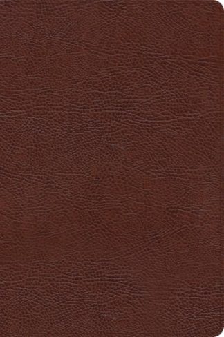 9781087774411 Large Print Thinline Bible