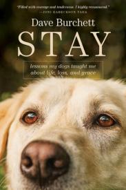 9781414397931 Stay : Lessons My Dogs Taught Me About Life Loss And Grace