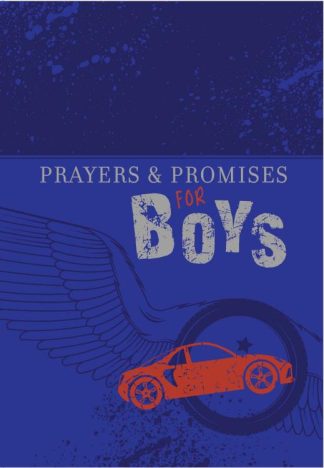 9781424554164 Prayers And Promises For Boys