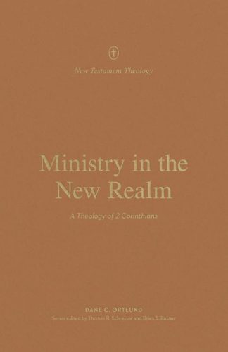 9781433574153 Ministry In The New Realm