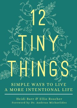 9781506465043 12 Tiny Things