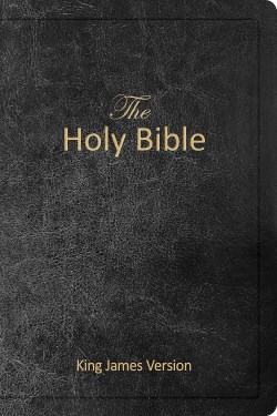 9781622458356 Holy Spirit Edition Bible