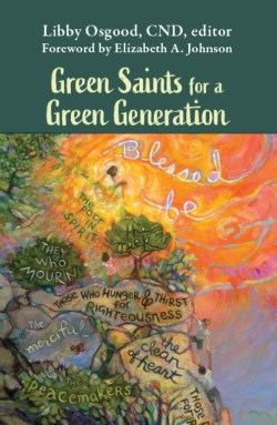 9781626985902 Green Saints For A Green Generation